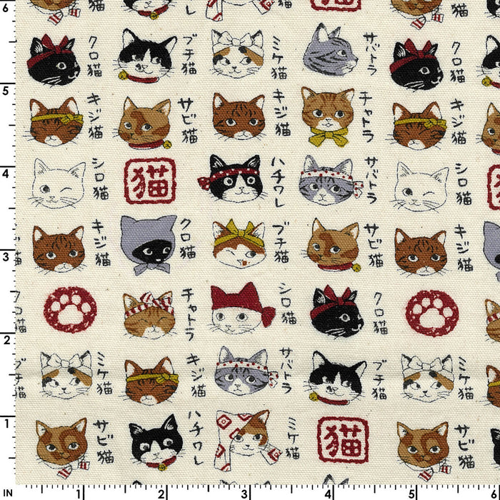 Animal Dictionary - Cats KOKYPA-56030-2-A