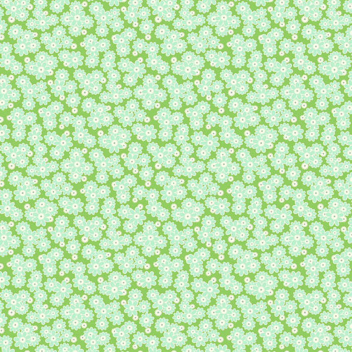 DAISY CRUSH - CLOVER