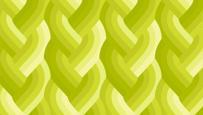 Echo Braid - Acid Green