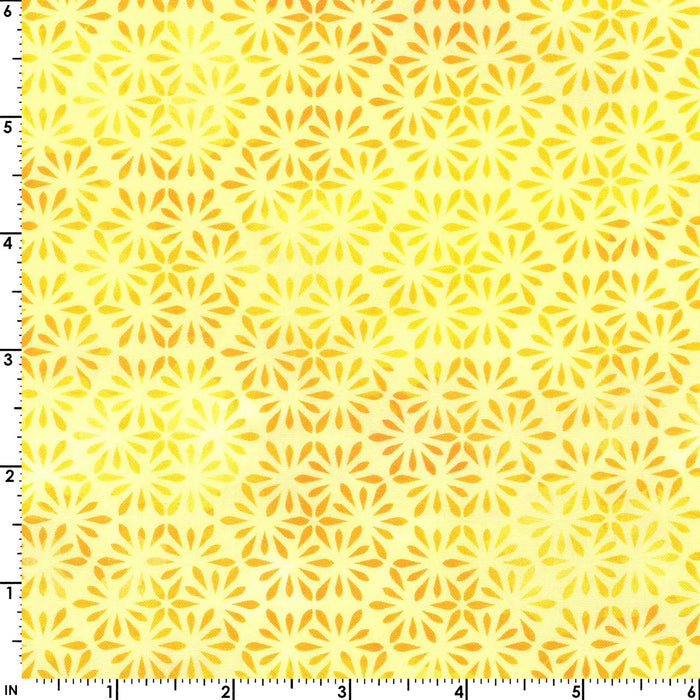 Felicity Hex (Yellow)