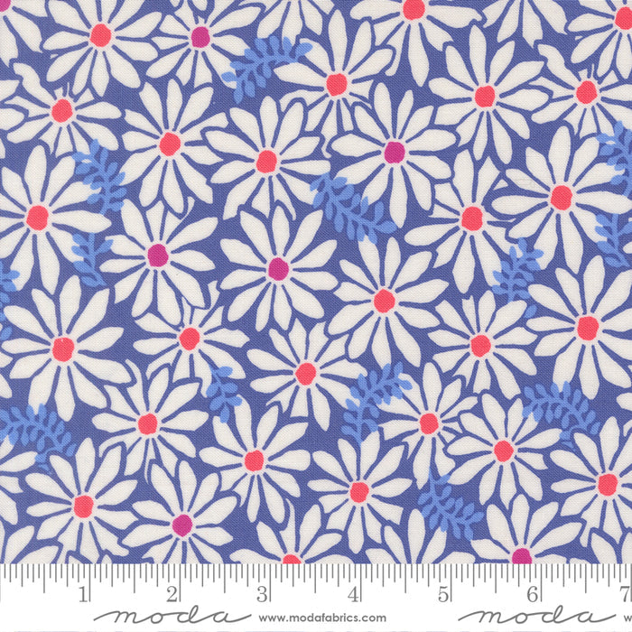 Reef Bloom Blue Whale