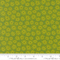 Scenery Sedum - Limeade