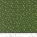 Scenery Starlight - Cypress