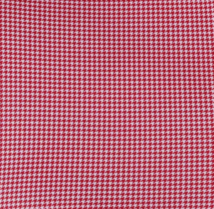 SEMI SPREAD COLLAR POLO RED GINGHAM